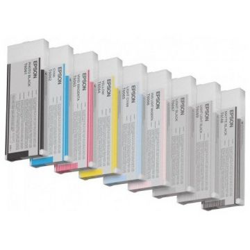 Epson INK CARTR. LIGHT BK 4880 220ML