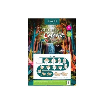 Carton multicolor BiroCO, format A4, 160 gr, 10 coli/set