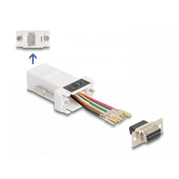 Adaptor Assembly Kit D-Sub 9 pini la RJ45 M-M Alb, Delock 67105