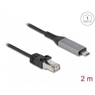 Cablu de retea USB Type C la RJ45 Gigabit LAN 2m, Delock 60760
